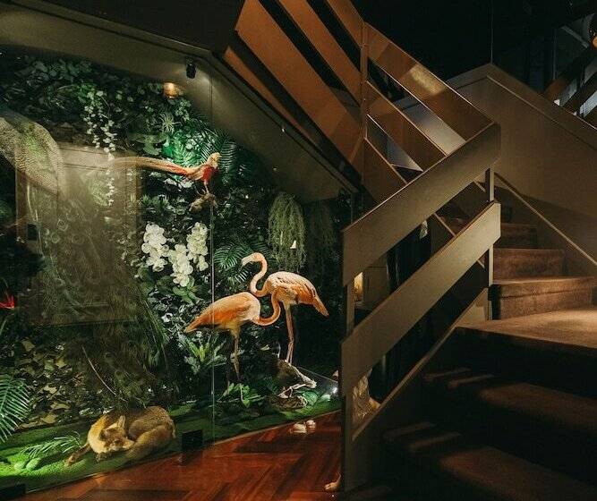 تختخواب و صبحانه The Felix 10