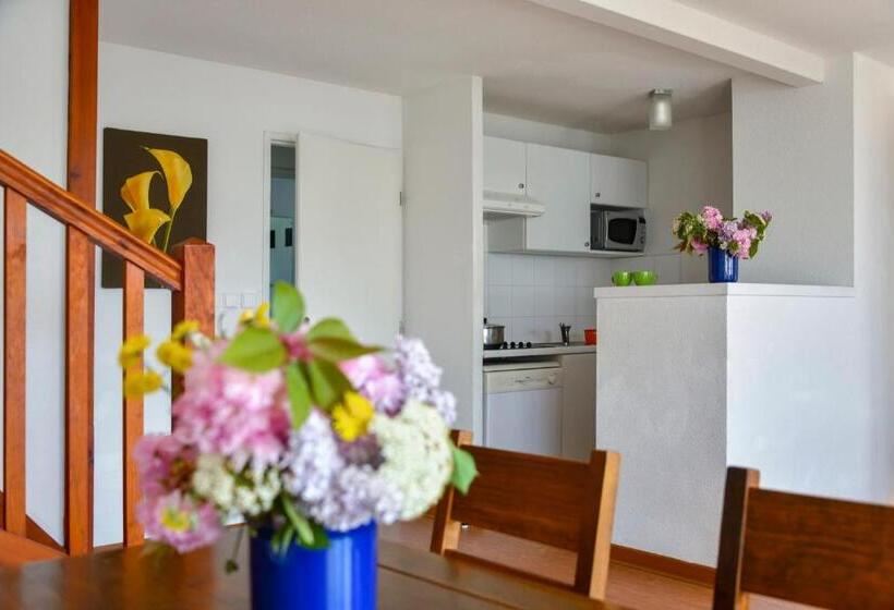 Vacancéole   Domaine De Saint Orens