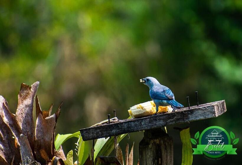 Finca Hotel Betel
