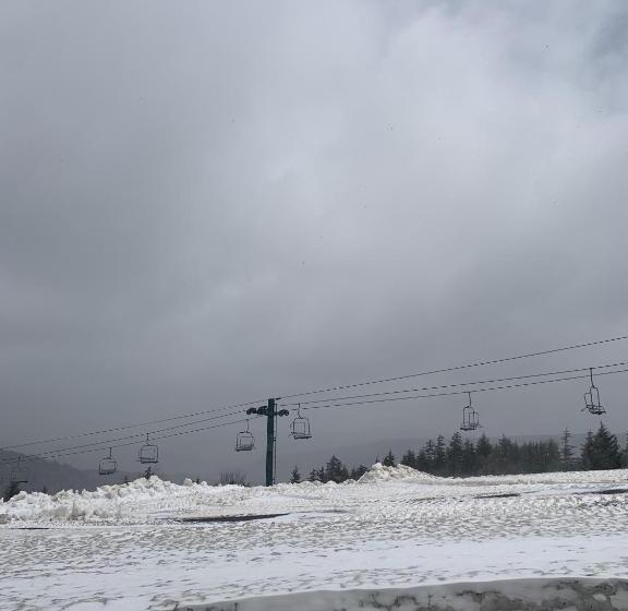 Highland House 207 Slopeside, Village Area, Ski In Out