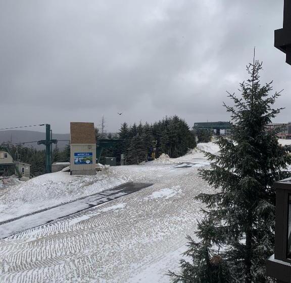 Highland House 207 Slopeside, Village Area, Ski In Out