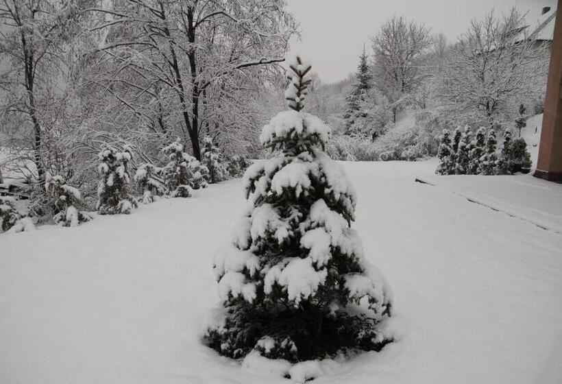 Hôtel купецький двір