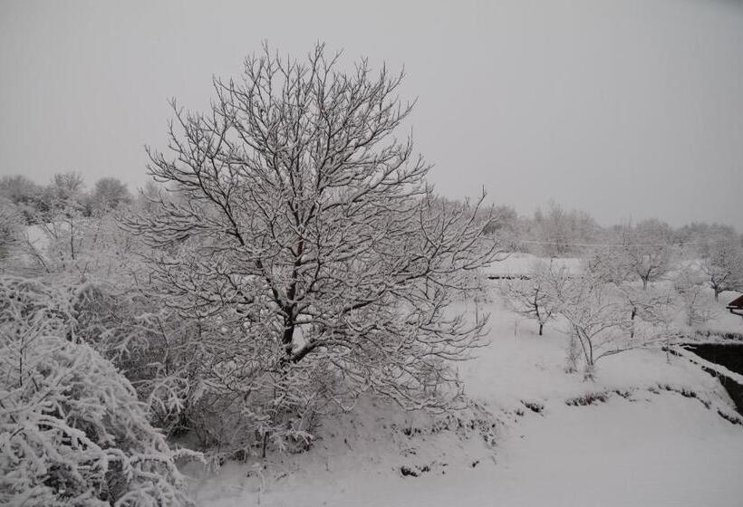 Hôtel купецький двір