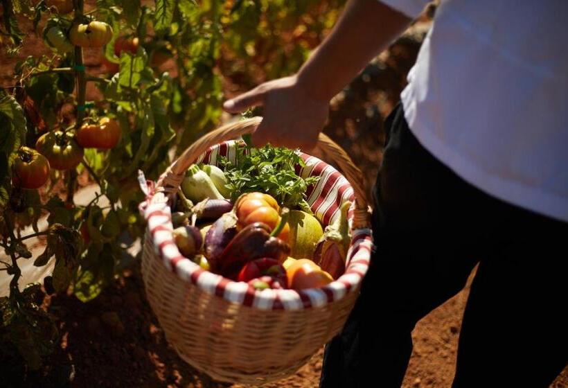 酒店 Cantó De Marina Adults Only