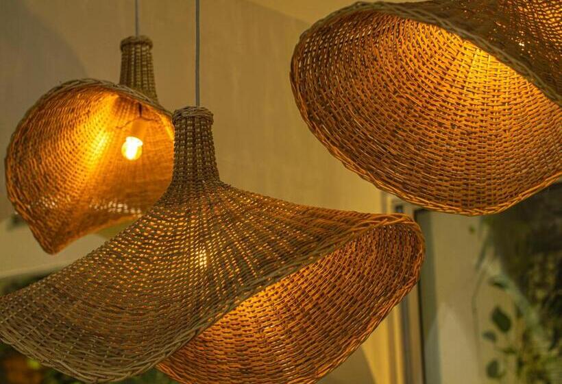 هتل Centro Monteria