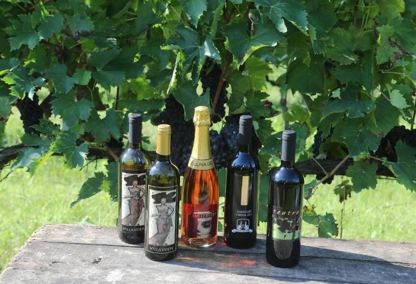 فندق Collina Dei Poeti