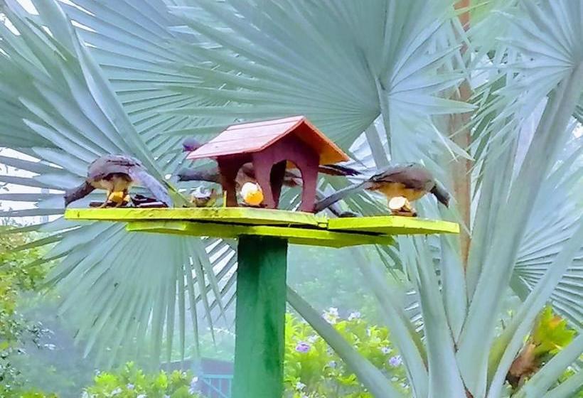 בית מלון כפרי Finca Jardãƒæ’ã‚â­n Secreto By Rotamundos