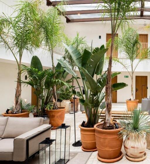 Отель Porfirio Picota Adults Recommended