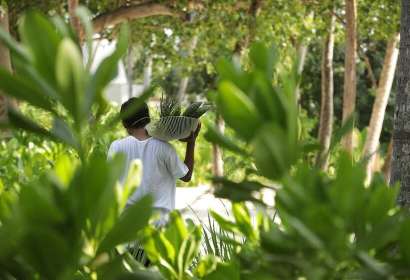 استراحتگاه Kuda Villingili Maldives