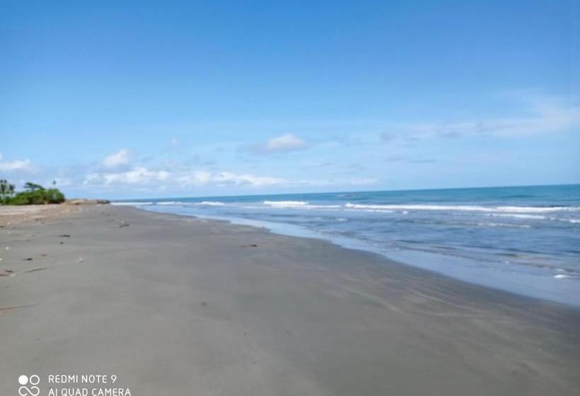 Пансион Hostal Belleza Tropical