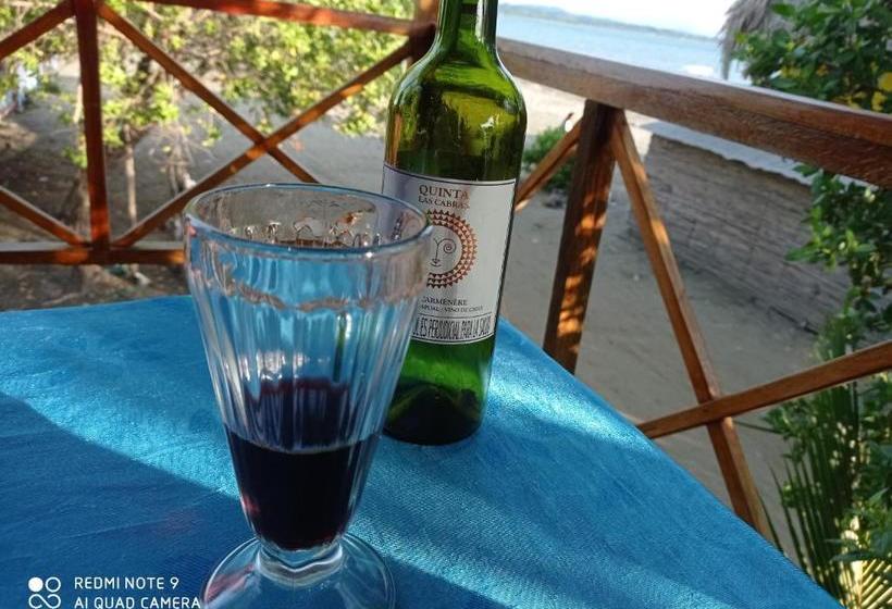 پانسیون Hostal Belleza Tropical