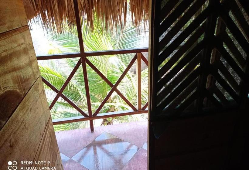 Пансион Hostal Belleza Tropical