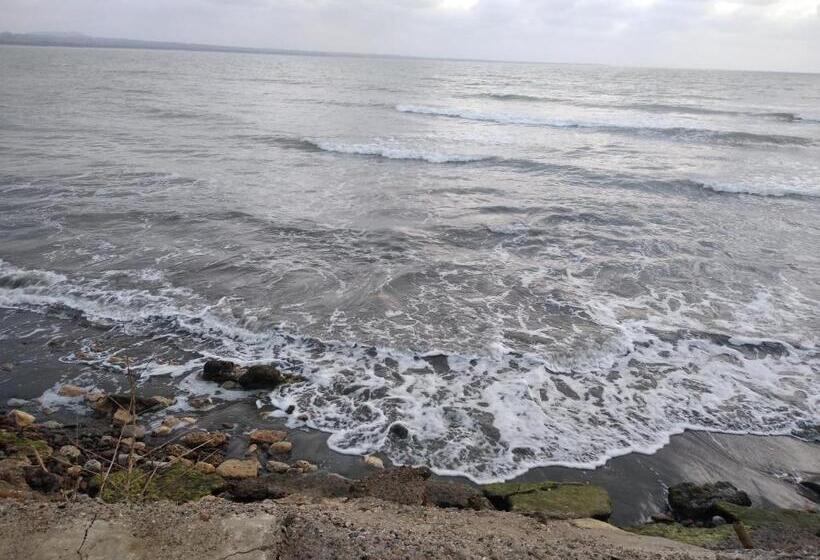 Пансион Hostal Belleza Tropical