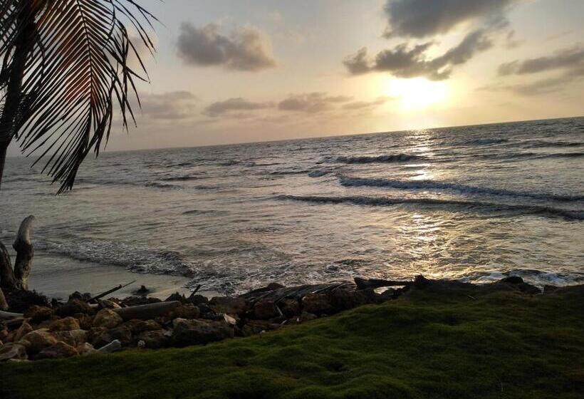 پانسیون Hostal Belleza Tropical