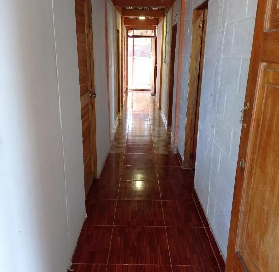 Пансион Hostal Belleza Tropical