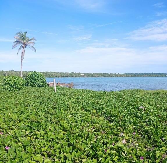 Пансион Hostal Belleza Tropical