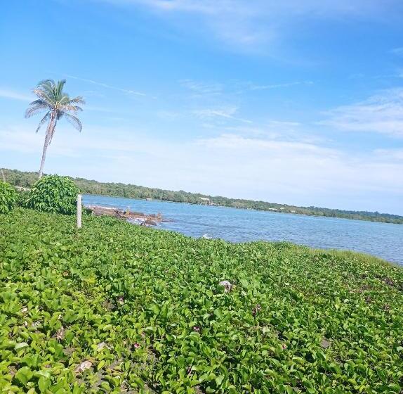 Пансион Hostal Belleza Tropical