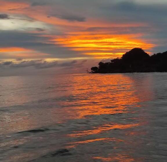 Пансион Hostal Belleza Tropical