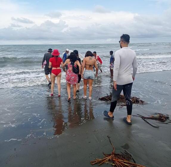 Пансион Hostal Belleza Tropical