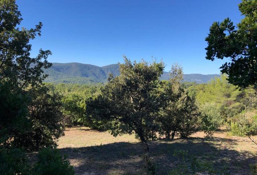 Пансион La Bergerie Des Oliviers