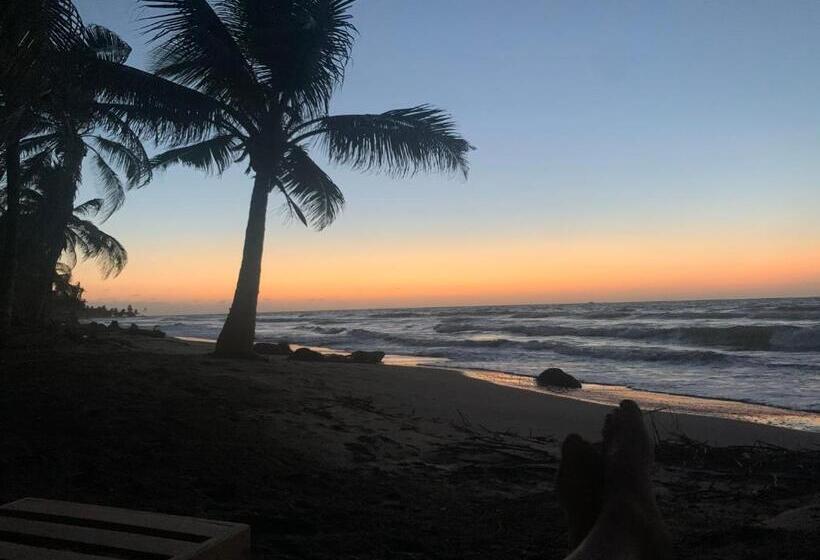 Пансион Playa Jaguar Beach Club