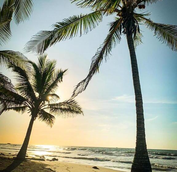 Пансион Playa Jaguar Beach Club