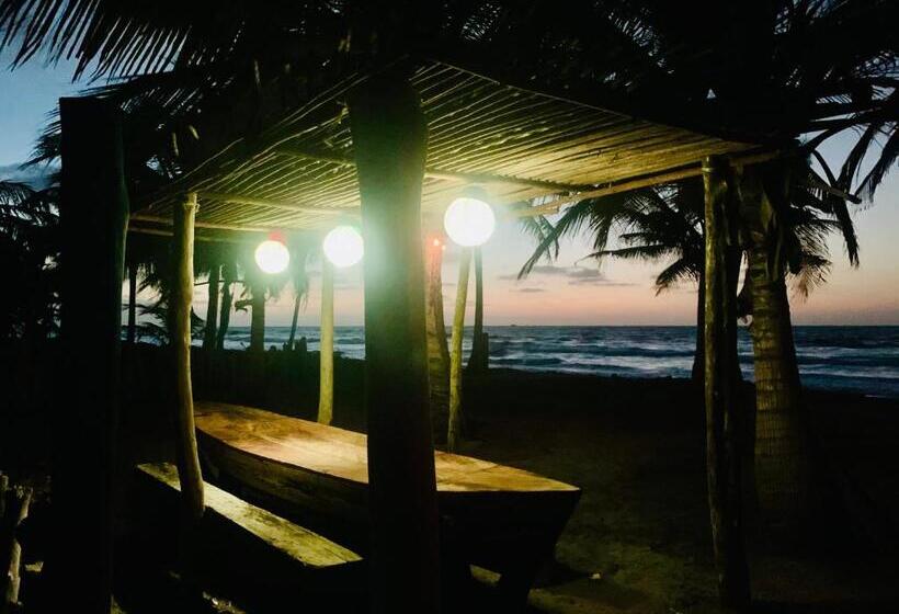 Пансион Playa Jaguar Beach Club