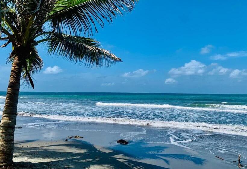 Пансион Playa Jaguar Beach Club