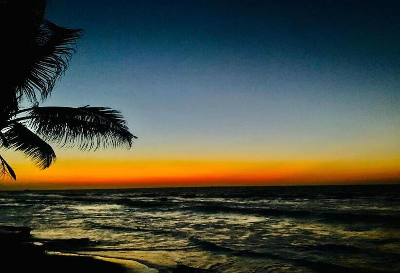 Пансион Playa Jaguar Beach Club