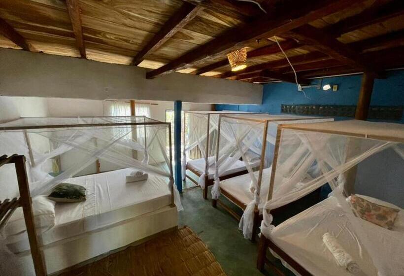 Пансион Playa Jaguar Beach Club