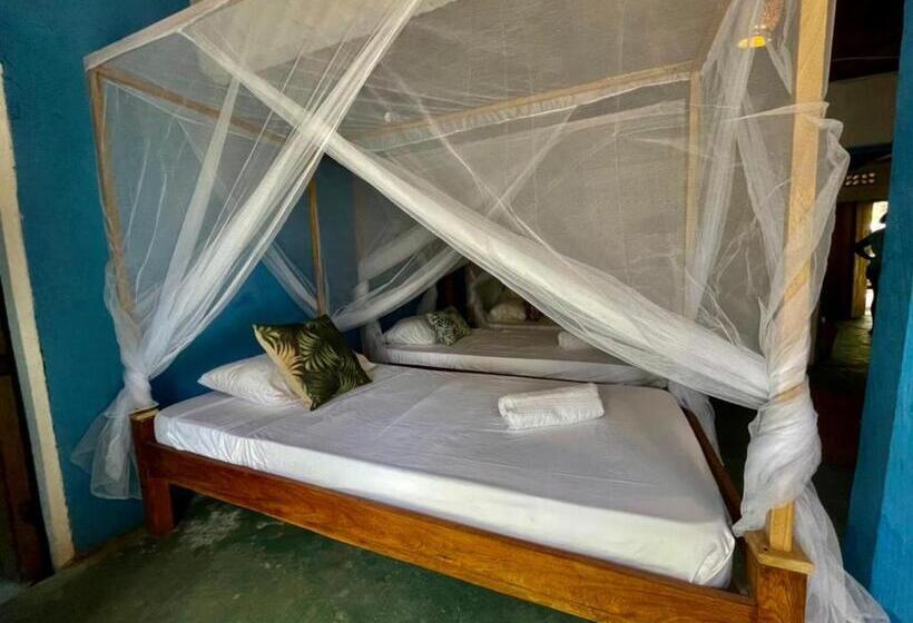 Пансион Playa Jaguar Beach Club