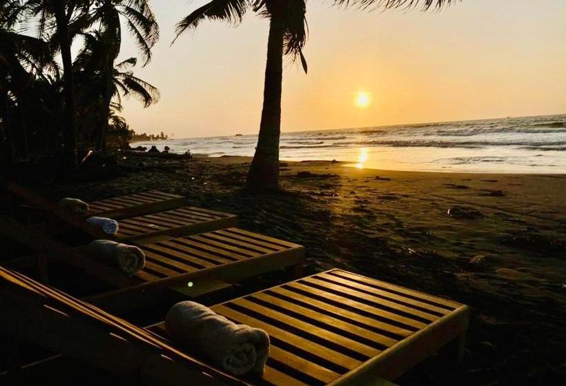 Пансион Playa Jaguar Beach Club