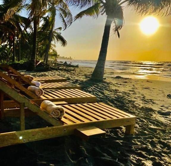 Пансион Playa Jaguar Beach Club