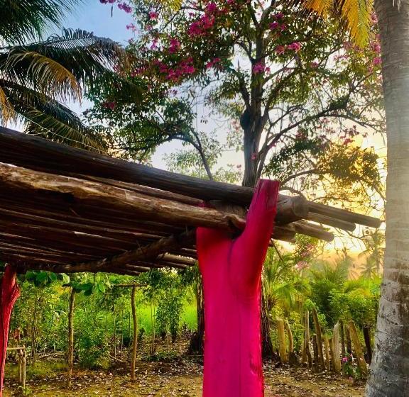 Пансион Playa Jaguar Beach Club