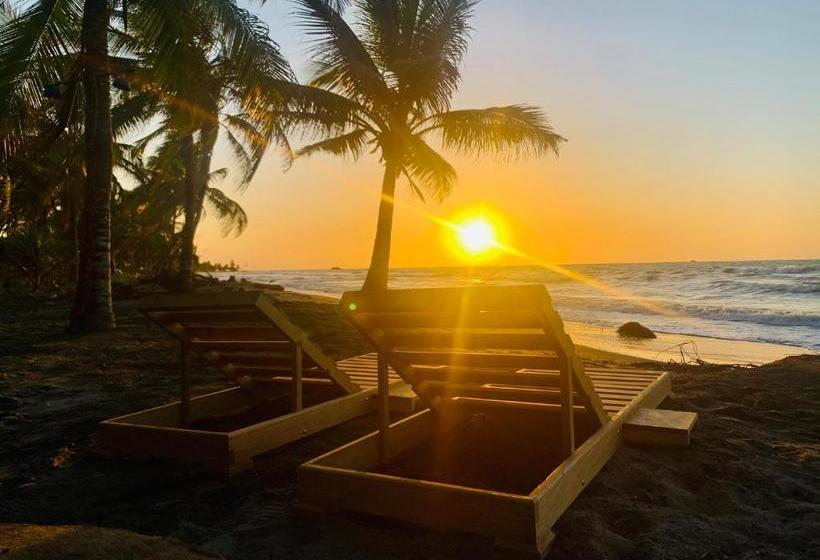 Пансион Playa Jaguar Beach Club