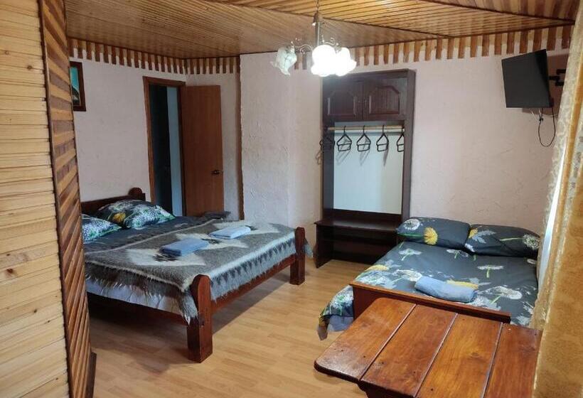 پانسیون V Ulyanu