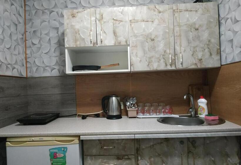 پانسیون V Ulyanu