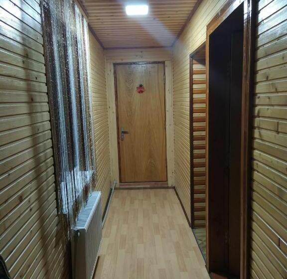 پانسیون V Ulyanu