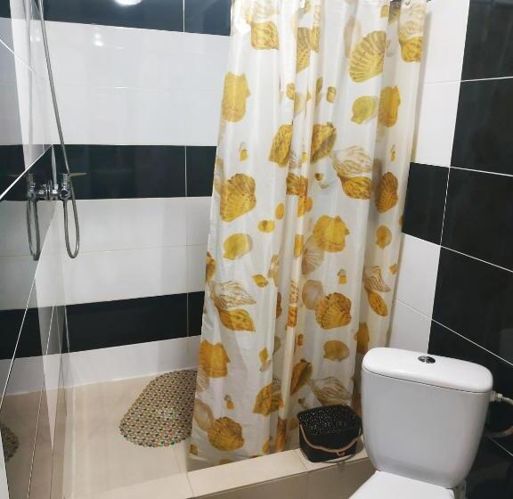 پانسیون V Ulyanu