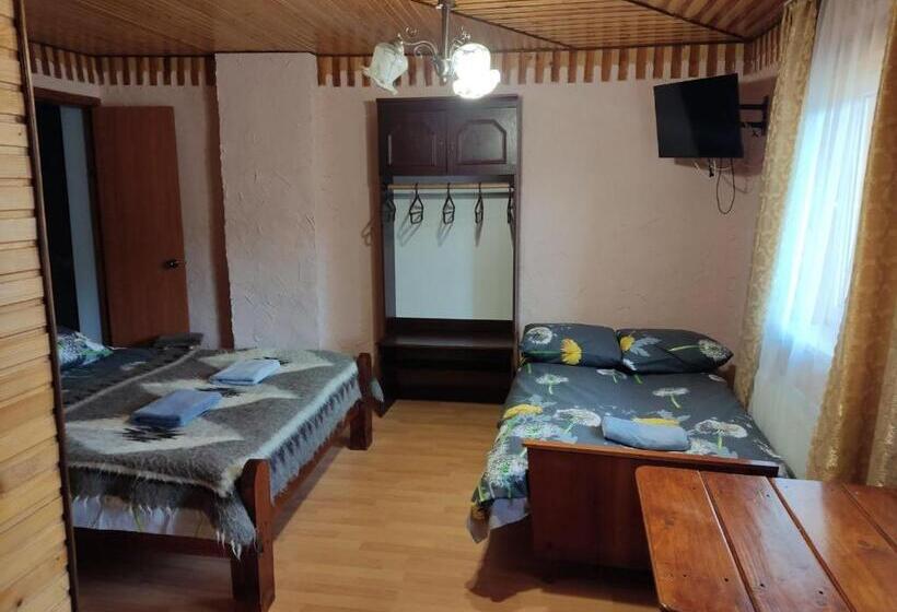 پانسیون V Ulyanu