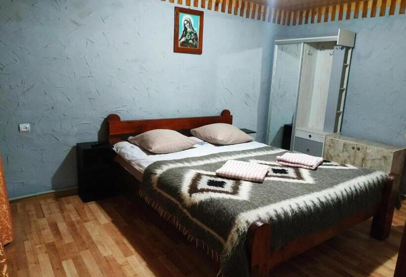 پانسیون V Ulyanu