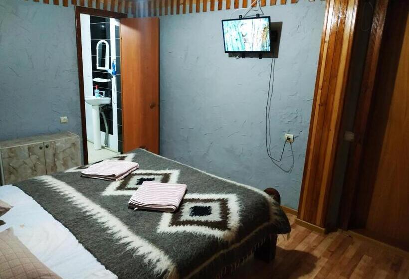 پانسیون V Ulyanu