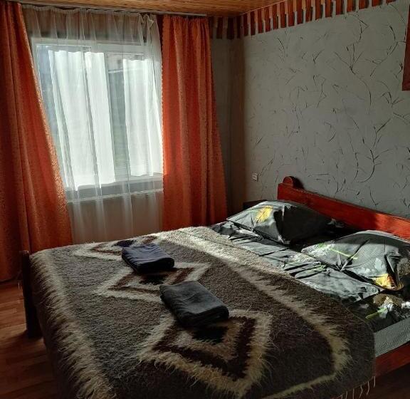 پانسیون V Ulyanu