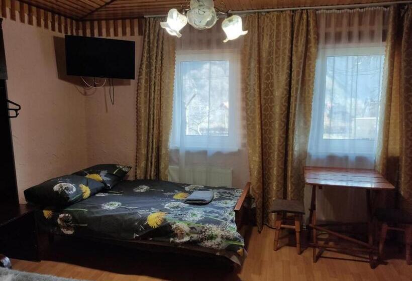 پانسیون V Ulyanu