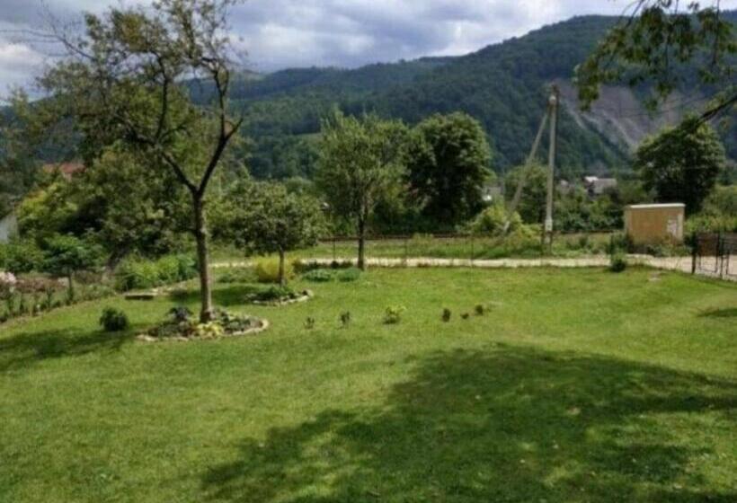 پانسیون V Ulyanu