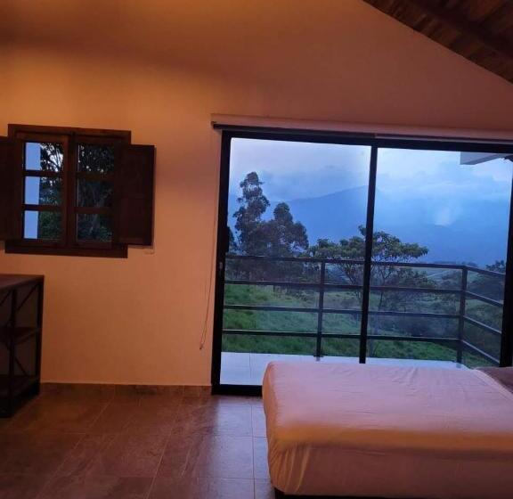 بنسيون Villa Paulina