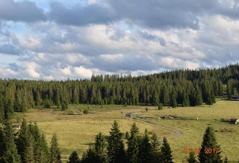 Pension Helena Honesová