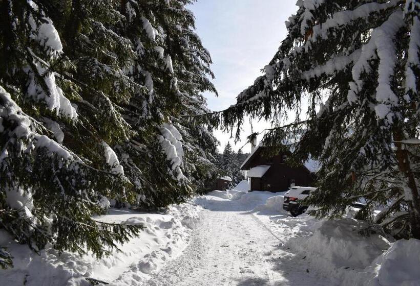 Pension Helena Honesová