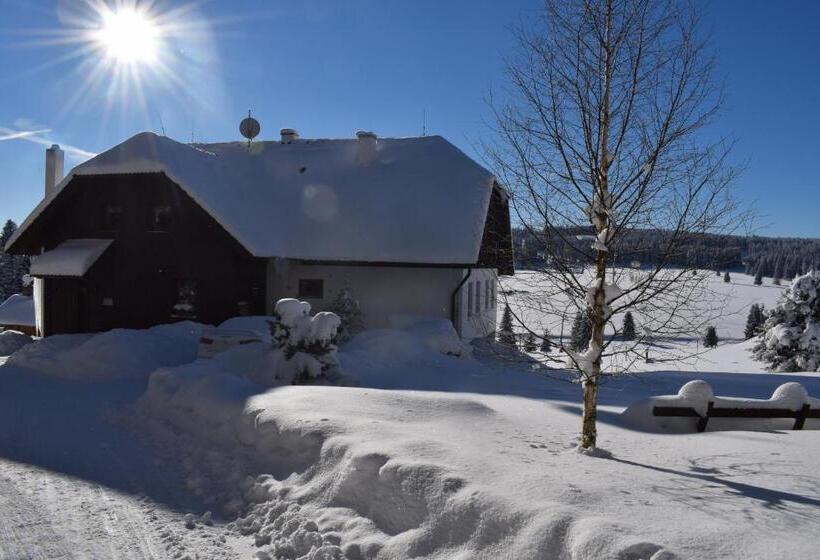 Pension Helena Honesová