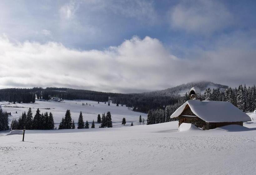 Pension Helena Honesová